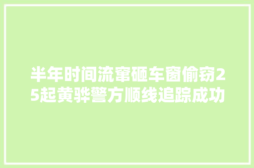 半年时间流窜砸车窗偷窃25起黄骅警方顺线追踪成功