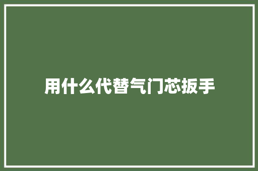 用什么代替气门芯扳手