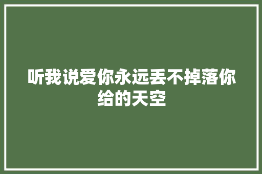听我说爱你永远丢不掉落你给的天空