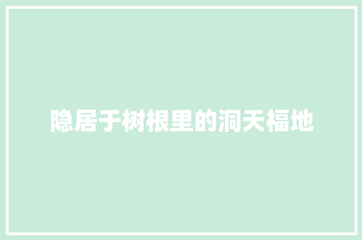 隐居于树根里的洞天福地