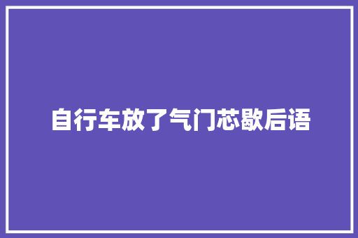 自行车放了气门芯歇后语