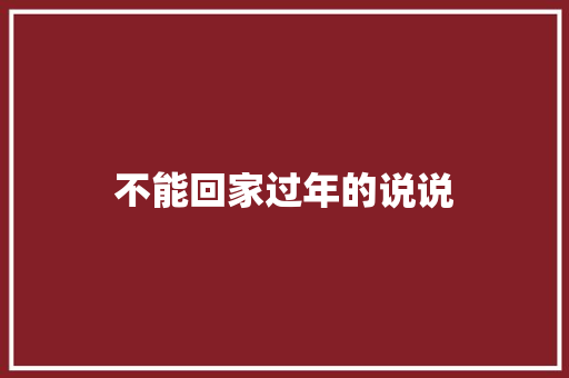 不能回家过年的说说