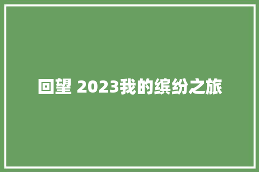 回望 2023我的缤纷之旅 休闲娱乐