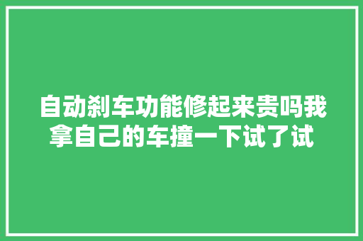 自动刹车功能修起来贵吗我拿自己的车撞一下试了试