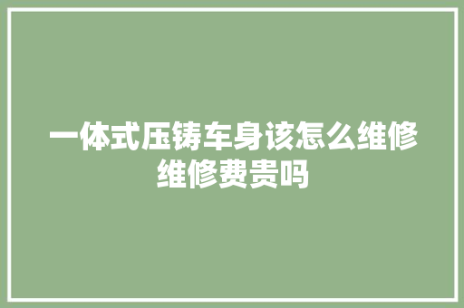 一体式压铸车身该怎么维修维修费贵吗