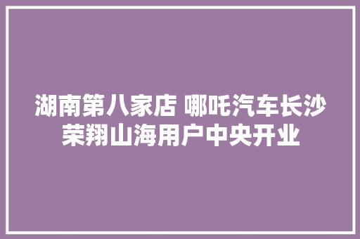 湖南第八家店 哪吒汽车长沙荣翔山海用户中央开业