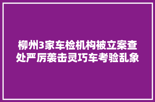 柳州3家车检机构被立案查处严厉袭击灵巧车考验乱象