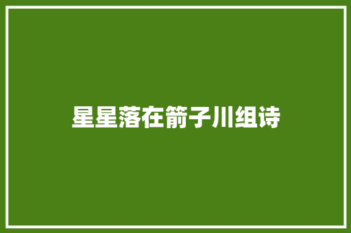 星星落在箭子川组诗
