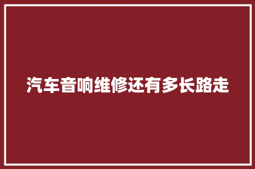 汽车音响维修还有多长路走