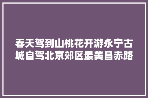 春天驾到山桃花开游永宁古城自驾北京郊区最美昌赤路。