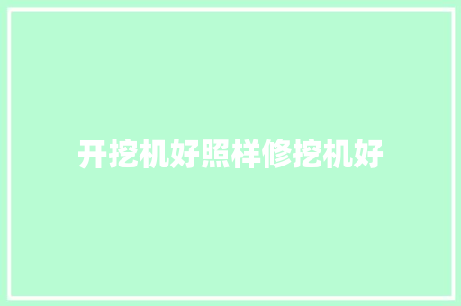 开挖机好照样修挖机好