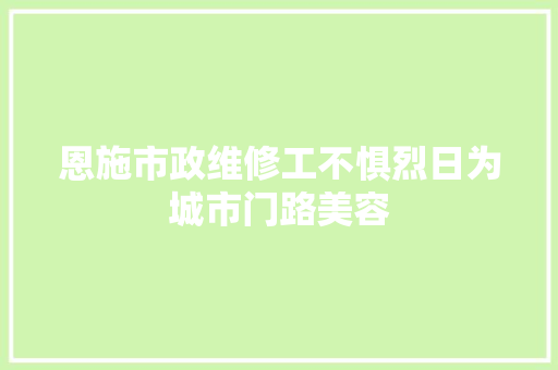 恩施市政维修工不惧烈日为城市门路美容