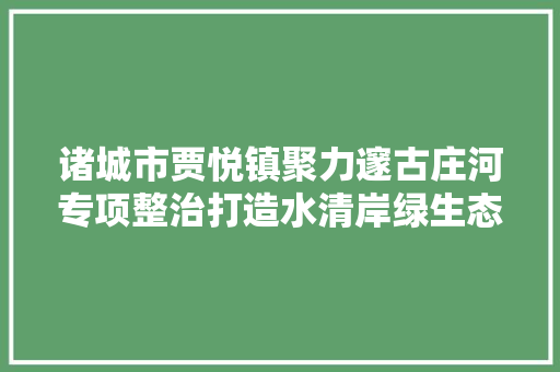 诸城市贾悦镇聚力邃古庄河专项整治打造水清岸绿生态情形 汽车知识