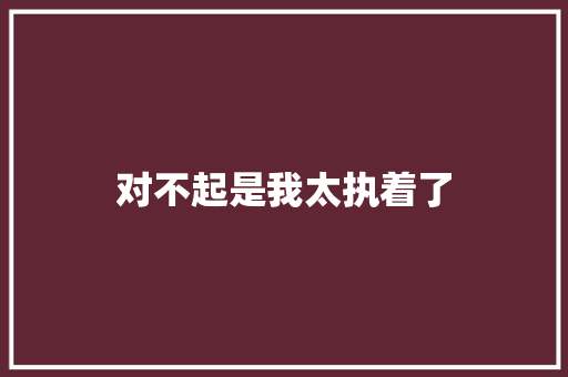 对不起是我太执着了