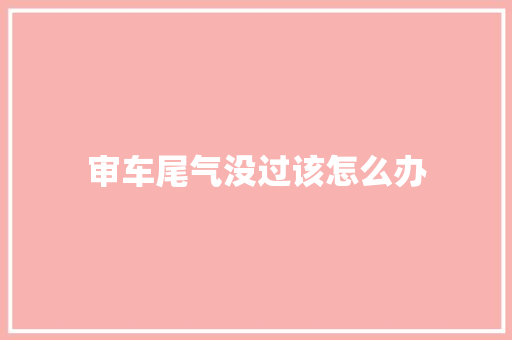 审车尾气没过该怎么办