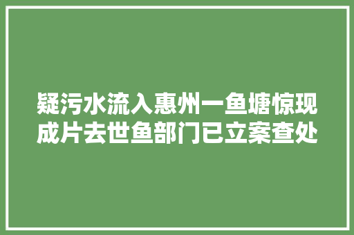 疑污水流入惠州一鱼塘惊现成片去世鱼部门已立案查处
