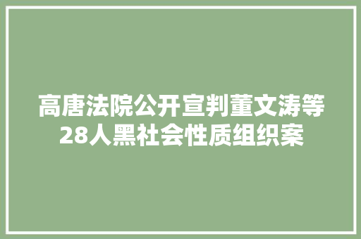 高唐法院公开宣判董文涛等28人黑社会性质组织案