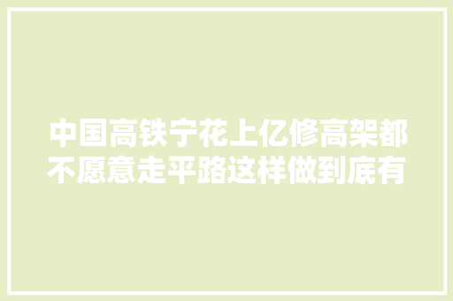 中国高铁宁花上亿修高架都不愿意走平路这样做到底有啥好处