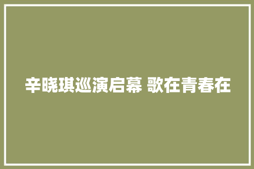 辛晓琪巡演启幕 歌在青春在