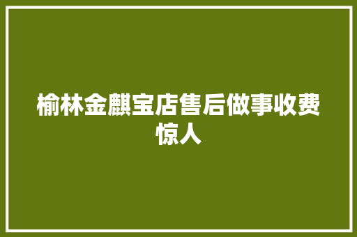 榆林金麒宝店售后做事收费惊人