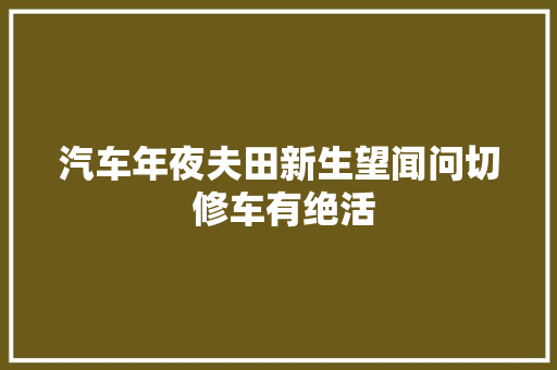 汽车年夜夫田新生望闻问切 修车有绝活