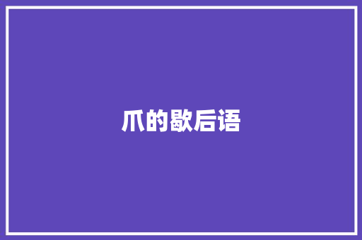 爪的歇后语