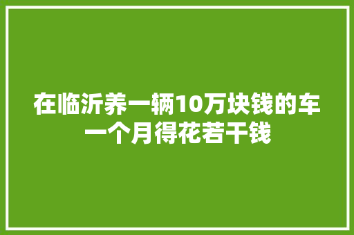 在临沂养一辆10万块钱的车一个月得花若干钱