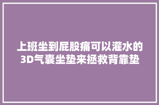 上班坐到屁股痛可以灌水的3D气囊坐垫来拯救背靠垫也是它