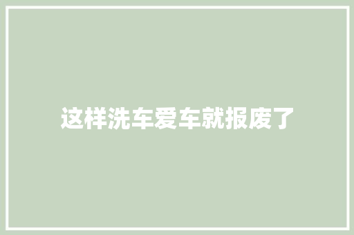 这样洗车爱车就报废了