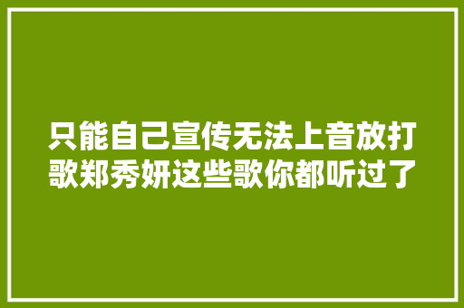 只能自己宣传无法上音放打歌郑秀妍这些歌你都听过了吗