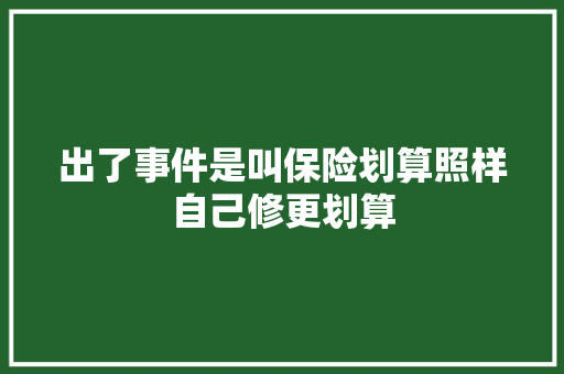 出了事件是叫保险划算照样自己修更划算