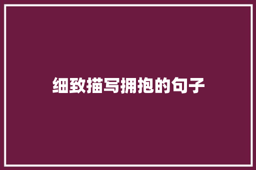 细致描写拥抱的句子
