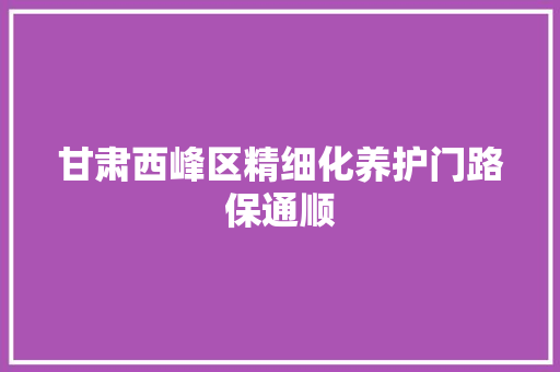 甘肃西峰区精细化养护门路保通顺