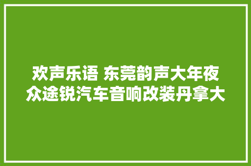 欢声乐语 东莞韵声大年夜众途锐汽车音响改装丹拿大年夜众专车专用喇叭