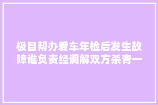 极目帮办爱车年检后发生故障谁负责经调解双方杀青一致