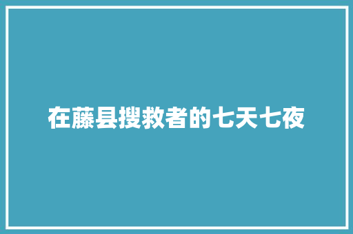 在藤县搜救者的七天七夜 汽车知识