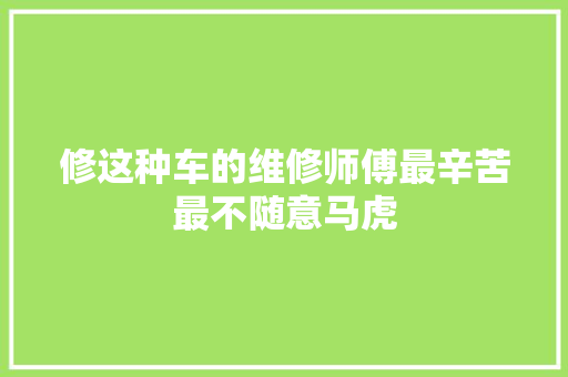 修这种车的维修师傅最辛苦最不随意马虎