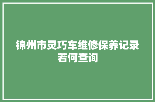 锦州市灵巧车维修保养记录若何查询