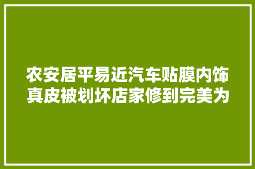 农安居平易近汽车贴膜内饰真皮被划坏店家修到完美为止要钱不会给