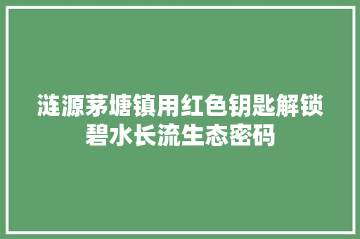 涟源茅塘镇用红色钥匙解锁碧水长流生态密码
