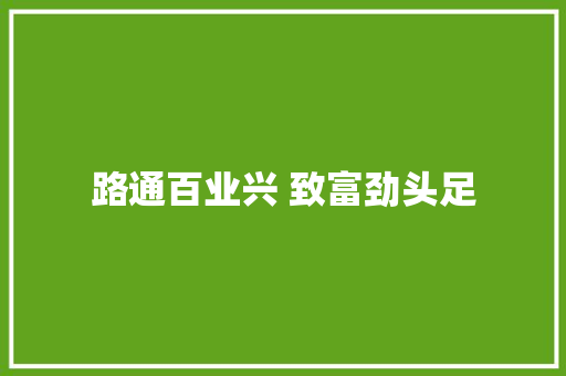 路通百业兴 致富劲头足