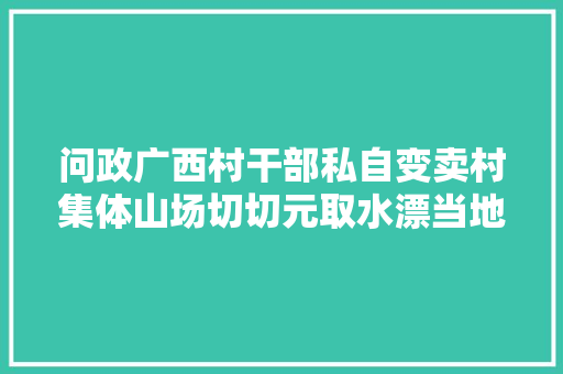 问政广西村干部私自变卖村集体山场切切元取水漂当地回应