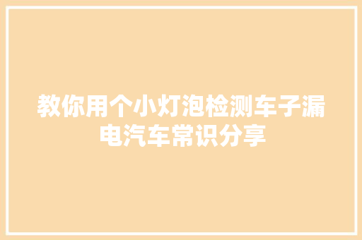 教你用个小灯泡检测车子漏电汽车常识分享