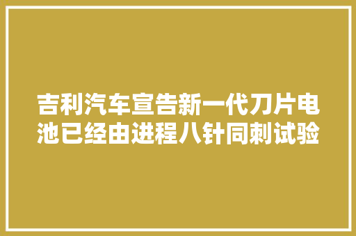 吉利汽车宣告新一代刀片电池已经由进程八针同刺试验