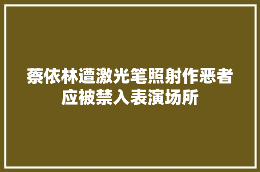 蔡依林遭激光笔照射作恶者应被禁入表演场所