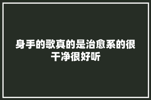 身手的歌真的是治愈系的很干净很好听