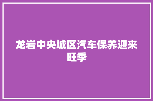 龙岩中央城区汽车保养迎来旺季