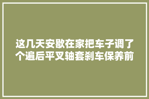 这几天安歇在家把车子调了个遍后平叉轴套刹车保养前轮轴承更换 汽车知识