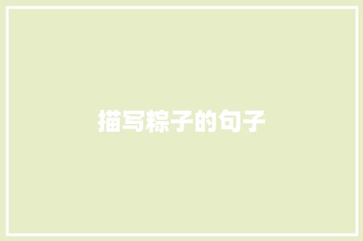 描写粽子的句子