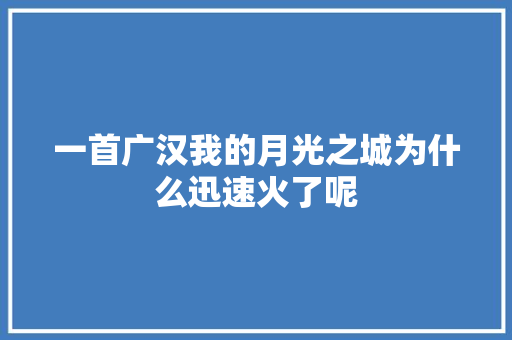 一首广汉我的月光之城为什么迅速火了呢